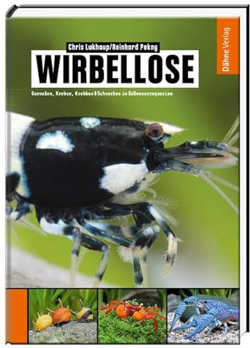Wirbellose - Garnelen, Krebse, Krabben & Schnecken im Süßwasseraquarium