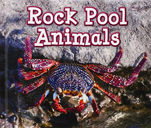 Rock Pool Animals (Animals in Their Habitats)