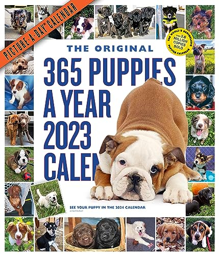 365 Puppies-A-Year Picture-A-Day Wall Calendar 2023: Absolutely Spilling Over With Puppies