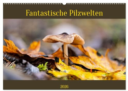 Fantastische Pilzwelten (Wandkalender 2026 DIN A2 quer), CALVENDO Monatskalender: Pilze sind unglaublich vielfältig. (CALVENDO Natur)