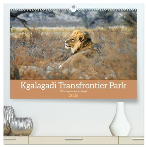 Kgalagadi - Fauna und Wildtiere in der Kalahari (hochwertiger Premium Wandkalender 2026 DIN A2 quer), Kunstdruck in Hochglanz: Kgalagadi eine Perle in ... den wilden Tieren Afrikas (CALVENDO Tiere)