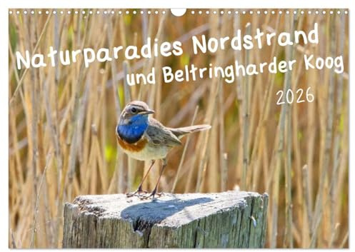 Naturparadies Nordstrand und Beltringharder Koog (Wandkalender 2026 DIN A3 quer), CALVENDO Monatskalender: Nordstrand und der Beltringharder Koog sind ... und anderen Tieren. (CALVENDO Natur)