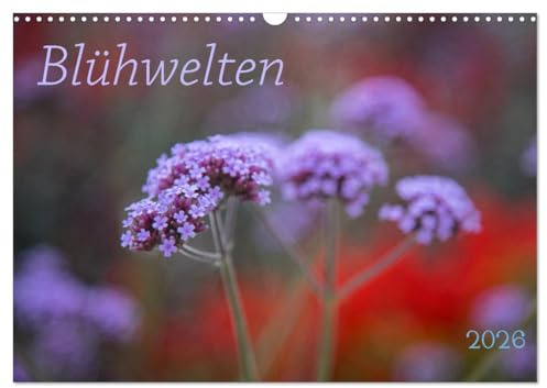 Blühwelten (Wandkalender 2026 DIN A3 quer), CALVENDO Monatskalender: Blüten verschiedener Blumen in Nahaufnahme begleiten ein Jahr. (CALVENDO Natur)