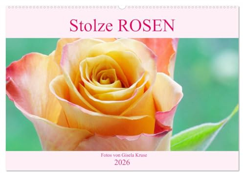 Stolze Rosen (Wandkalender 2026 DIN A2 quer), CALVENDO Monatskalender: Ein Kalender für Rosenliebhaber (CALVENDO Natur)