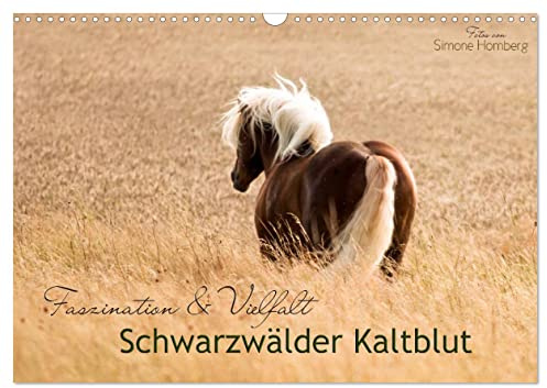 Faszination und Vielfalt - Schwarzwälder Kaltblut (Wandkalender 2026 DIN A3 quer), CALVENDO Monatskalender: Kraftvoll, elegant, manchmal verspielt und ... Pferd durch das Jahr (CALVENDO Tiere)