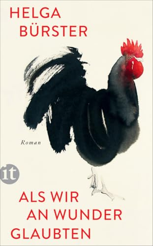 Als wir an Wunder glaubten: Roman