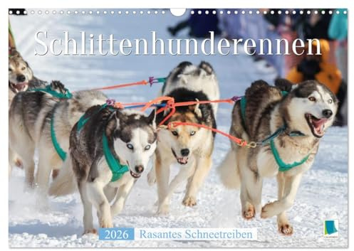 Schlittenhunderennen: Rasantes Schneetreiben (Wandkalender 2026 DIN A3 quer), CALVENDO Monatskalender: Musher und Hundegespanne: unvergessliche Schlittenfahrten (CALVENDO Sport)