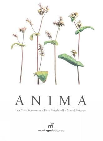 Anima (SIN COLECCION)