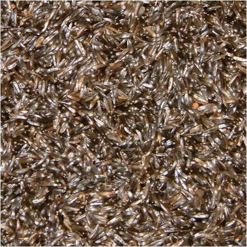NIGER SEED FOR BIRD FOOD - 25KG BAG
