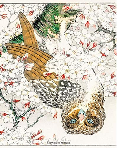 Lefty Notebook: Owl Cover