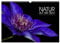 Der Natur auf der Spur - Makro-Fotografien der besonderen Art (Wandkalender 2025 DIN A3 quer), CALVENDO Monatskalender