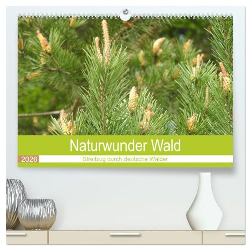 Naturwunder Wald (hochwertiger Premium Wandkalender 2026 DIN A2 quer), Kunstdruck in Hochglanz: Der Wald, ein unbezahlbares Ökosystem. (CALVENDO Natur)