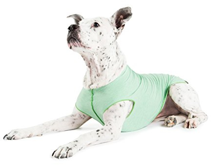 Gold Paw Sun Shield Dog Tee - T-Shirt für Hunde - UV-Schutz, Haustier-Angstlinderung, Wundpflege - schützt vor Fuchsschwanz, hilft Alopezie, maschinenwaschbar, alle Jahreszeiten - Größe 18 - Pistazie