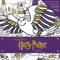 Harry Potter: Winter at Hogwarts: A Magical Coloring Set