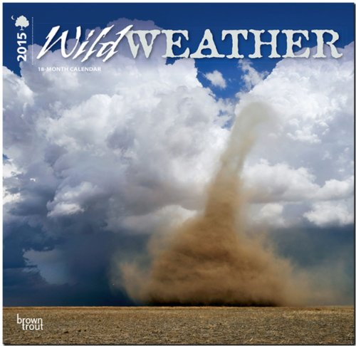 Wild Weather 2015 Calendar