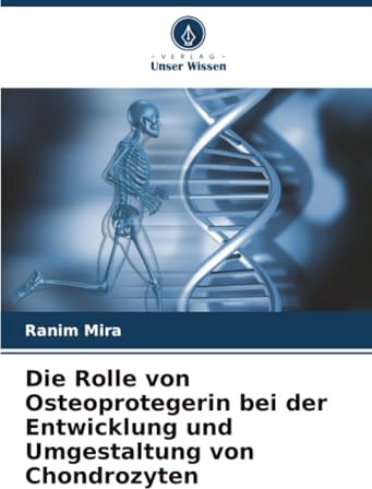Die Rolle von Osteoprotegerin bei der Entwicklung und Umgestaltung von Chondrozyten