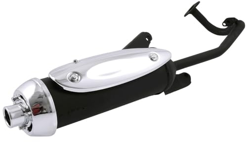 2EXTREME Standard Auspuff mit SLS, kompatibel für REX RS450 Typ: QM50QT-6(A) (Qingqi)