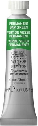 Winsor & Newton Aquarelle Professionnel - Peinture Aquarelle, Haute Luminosité, Résistante à la Lumière, Qualité Archive, Tube de 5 ML, Couleur Vert de Vessie Permanent