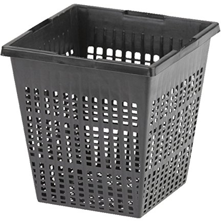 Oase 53755 Cestello per Piante Quadrangolare, Nero