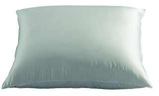 Häussling Kopfkissen mit Biese Königstraum, 85% Federn 15% Daunen weiß 80 x 80 cm (1000 gr.)