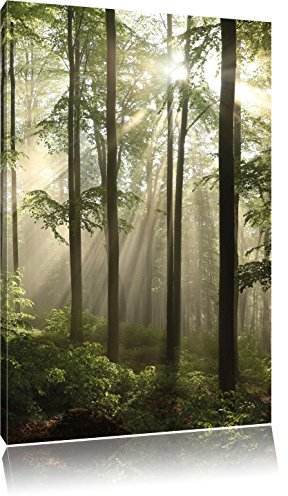 Pixxprint Sonnenstrahlen im Wald, Größe: 60x40cm, Leinwandbild, fertig gespannt, Wandbild, Dekoration, Kunstdruck, kein Poster