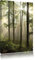 Pixxprint Sonnenstrahlen im Wald, Größe: 60x40cm, Leinwandbild, fertig gespannt, Wandbild, Dekoration, Kunstdruck, kein Poster
