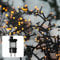 hellum LED Lichterkette außen Cluster, 8,94m 448 LED Cluster Lichterkette warmweiß mit Timer, Strombetrieben indoor & outdoor, Weihnachtsbaumbeleuchtung mit Kabel 576849