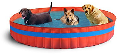 New Plast 3100 - My Dog Pool Piscina per Cani, 305 x 46 cm (ØxH)