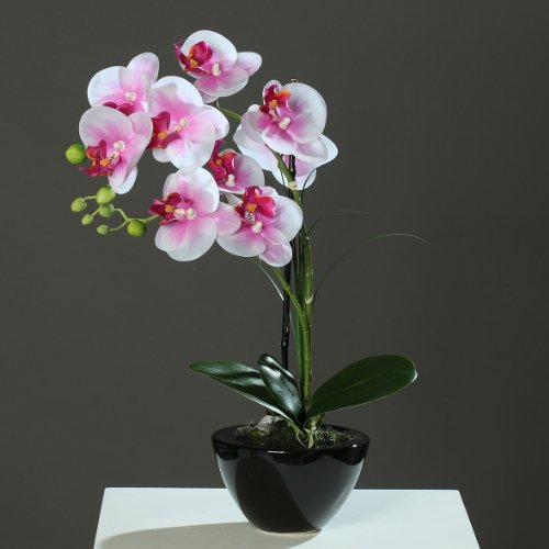 DPI Orchidee-Phalaenopsis in schwarzer Schale rosa-Creme 44 cm Kunstblume