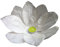 5 Wasserlaterne Lotusblüte Seerose Schwimmlaterne Schwimmkerzen Outdoor Laterne mit Teelichter Kerzen Windlicht Weiß