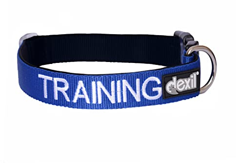 Dexil TRAINING (Dog In Training/Do Not Disturb) Blue Colour Coded S-M L-XL Dog Collars PREVENTS Accidents By Warning Others Of Your Dog In Advance (S-M)