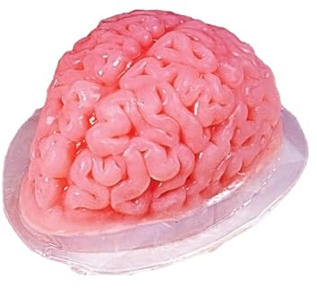 Fun World Costumes Brain Gelatin Mold Standard