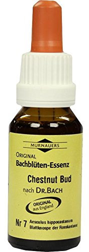 BACHBLÜTEN Murnauer Chestnut Bud Tropfen 20 ml
