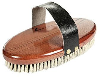HKM 6411 Kardätsche mit Naturborsten und Handschlaufe, Putzzeug Pferd, 21x10 cm