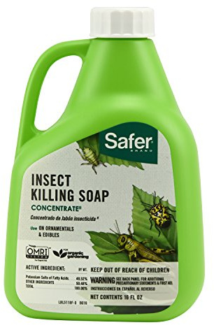 Safer 5118-6 Insect Killing Soap Concentrate - Insecticidal Soap for Plants - Kills Aphids, Whiteflies, Thrips, Spider Mites, and More - OMRI Listed for Organic Use
