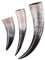 Battle-Merchant | Hochwertiges Wikinger-Trinkhorn | Lebensmittelechtes Naturhorn | Poliertes Rinderhorn | Mittelalterliches Mit-Horn | Dekoration, LARP, Reenactment | ca. 0,5 l