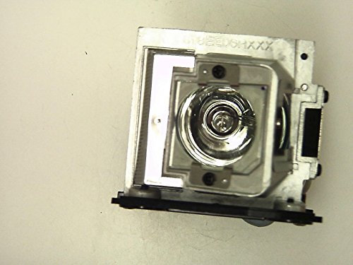 Optoma SP.8LM01GC01 Original Ersatzlampe für EW762