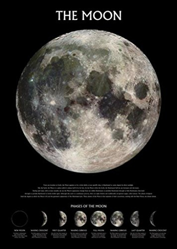 Pyramid Generic Der Mond 'Phasen' Maxi Poster, 61 x 91.5 cm, Drucken Mehrfarbig