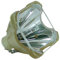 Beamerlampe für Sony HW30ES Projektor (NACKTE Lampe) - LMP-H202