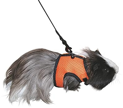 Kerbl Pet Sport Kaninchengeschirr mit Flexibler Leine 120cm | Hundegeschirr, mit flexibler Leine 120 cm