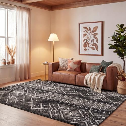 SAFAVIEH Adirondack Collection Area Rug - 6' x 9', Black & Silver, Moroccan Boho Distressed Design, Non-Shedding & Easy Care, Ideal for High Traffic Areas in Living Room, Bedroom (ADR111C)