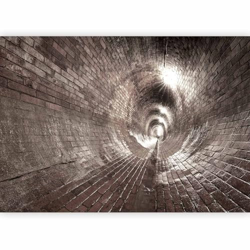 Fotomurales B&D XXL 100x70 cm Papel pintado tejido no tejido Decoración de Pared decorativos Murales moderna Diseno Fotográfico Ladrillo d-B-0037-a-d