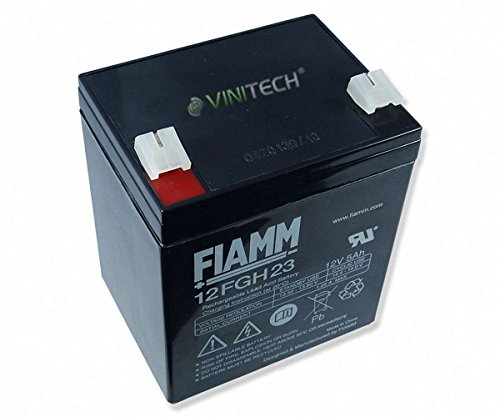 Fiamm Batterie au plomb haute tension 12FGH23 (FGH20502) 12 V 5 Ah AGM Gel avec connecteurs 6,3 mm