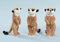 EBO 60062 - Erdmännchen, 12 cm aufrecht stehend, hellbraun