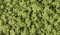 Woodland Scenics Buissons pour modélisme 295 à 413 cm3 - Vert Clair