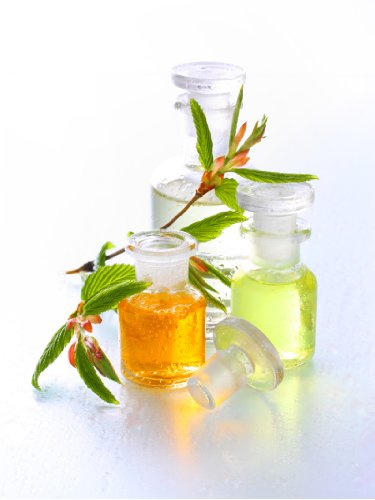 Thai-Asia-Kosmetik Lomi-Lomi Ölmischung - 500ml - BIO-Qualität - Massageöl - rein pflanzlich - Neutral - Profiqualität