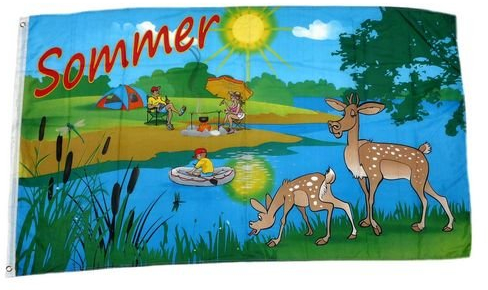 Fahne/Flagge Sommer See 90 x 150 cm