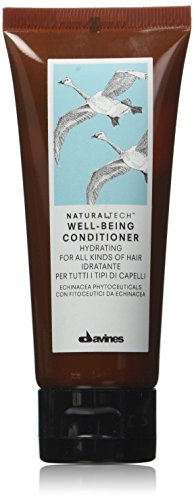 DAVINES 8004608234944 Mini Conditioner, 1er Pack (1 x 0.06 kg)