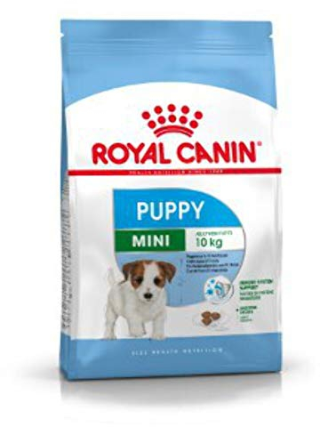 Royal Canin Mini Puppy | 2 kg | Croquettes pour Petits Chiens | Poids Final jusqu'à 10 kg | Jusqu'à 10 Mois | pour Les défenses Naturelles de l'organisme et Le développement du Cerveau