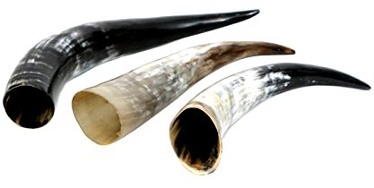 Brillibrum Design 1 Stück Edle Kuhhörner Klein Kuhhorn 20-90 cm Rinderhörner Stierhörner poliert Trinkhorn Trophäe Jagd Kuh Horn XXL Deko Geschenkidee (51cm - 60cm)